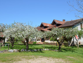 Rancho"Zielony koń" w miejscowości Borowski Las