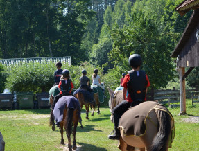 Rancho"Zielony koń"  w miejscowości Borowski Las