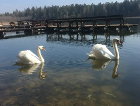 Domki nad jeziorem Kopanica  w miejscowości Kopanica