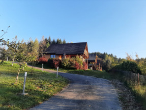 Domki Piszkówka w miejscowości Orelec
