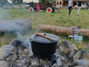 Domki Ostoja Karkonoska  w miejscowości Podgórzyn