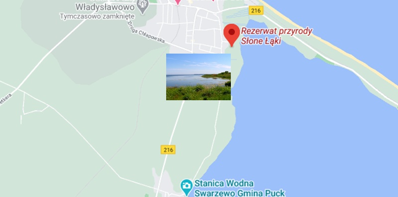 Rezerwat Przyrody Słone Łąki w miejscowości Władysławowo