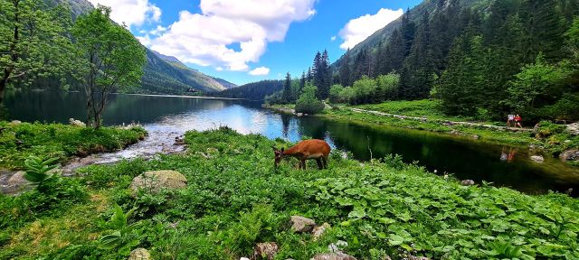 Morskie Oko w miejscowości Bukowina Tatrzańska